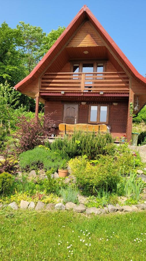 Domki Nad Jeziorem Villa Wolkowyja Kültér fotó